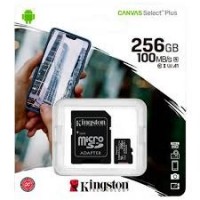 Карта памяти Kingston Canvas Select Plus 256GB